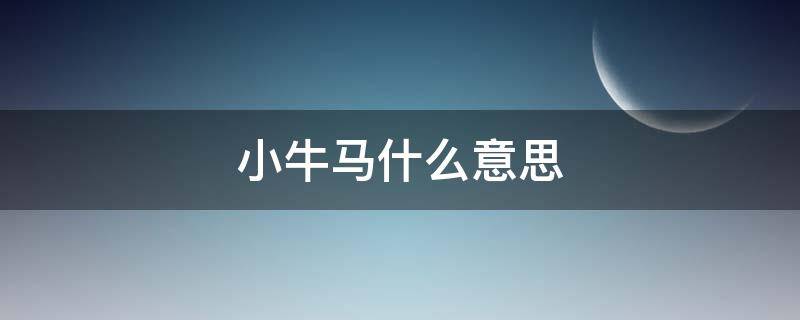 小牛马什么意思 小牛马什么意思?