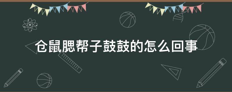 仓鼠腮帮子鼓鼓的怎么回事 仓鼠腮帮子鼓鼓的是怎么回事