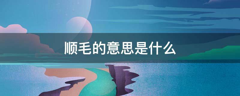 顺毛的意思是什么 顺顺毛的意思