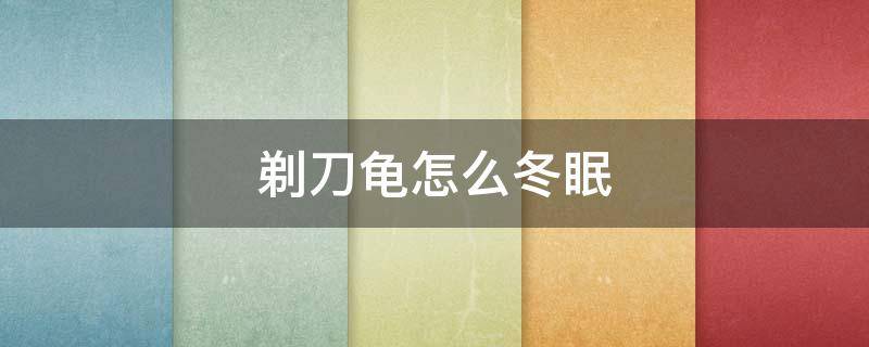 剃刀龟怎么冬眠 剃刀龟怎么过冬