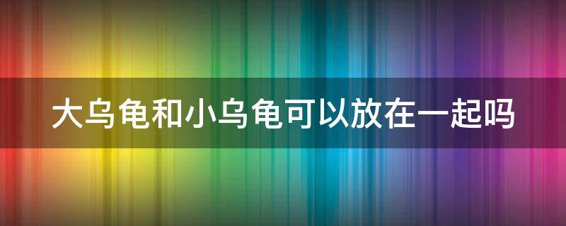 大乌龟和小乌龟可以放在一起吗 大乌龟和小乌龟可以放在一起吗巴西龟