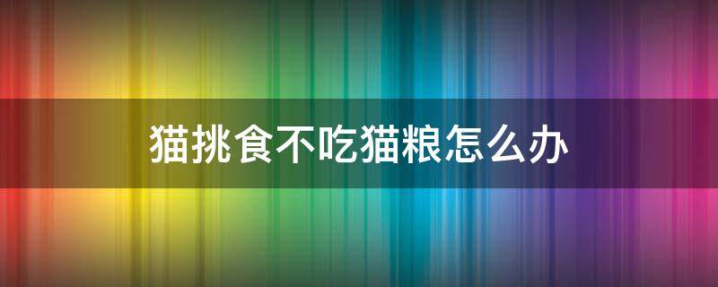 猫挑食不吃猫粮怎么办 猫咪挑食不吃粮怎么办