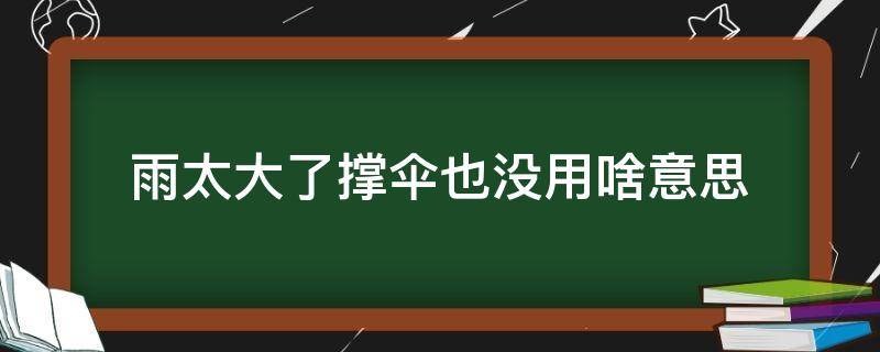 雨太大了撑伞也没用啥意思（雨太大了撑伞也没有用了 我的意思是无所谓了）