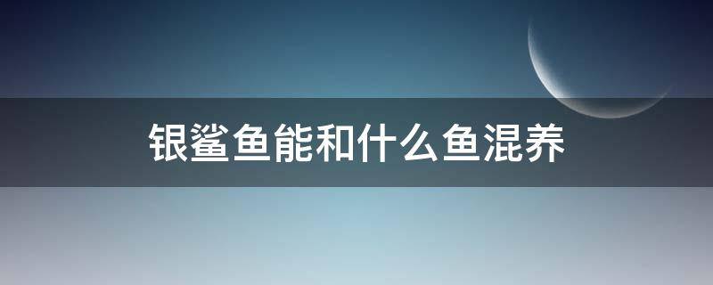 银鲨鱼能和什么鱼混养 银鲨鱼能和燕鱼混养吗