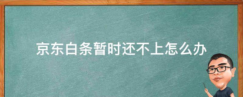 京东白条暂时还不上怎么办 京东白条暂时还不起怎么办