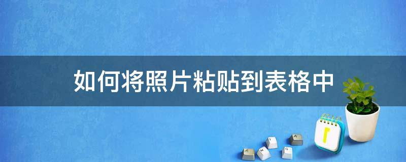 如何将照片粘贴到表格中 如何把照片粘贴在表格上