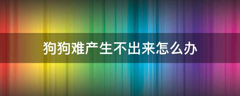 狗狗难产生不出来怎么办（狗狗难产生不出来怎么办拍拍后背行不）