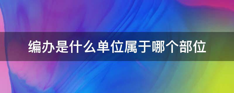 编办是什么单位属于哪个部位 编办是什么单位属于哪个部门