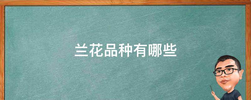 兰花品种有哪些 耐寒的兰花品种有哪些