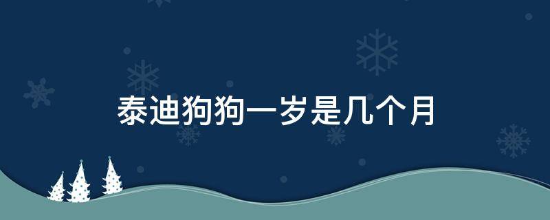 泰迪狗狗一岁是几个月 泰迪犬一岁是几个月