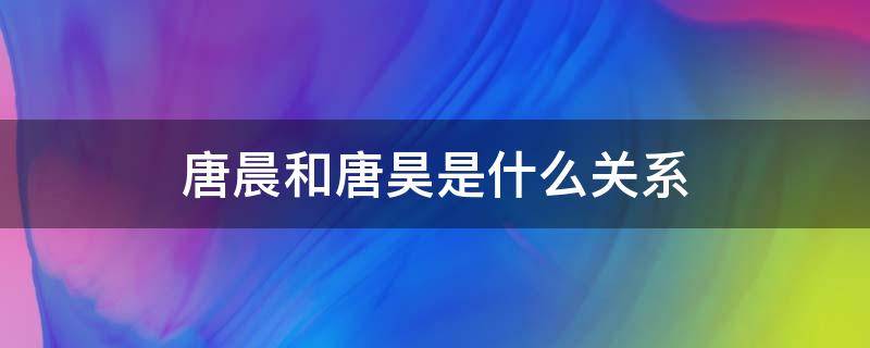 唐晨和唐昊是什么关系（斗罗大陆唐晨和唐昊是什么关系）