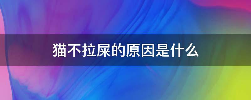 猫不拉屎的原因是什么 猫不拉屎的原因是什么情况