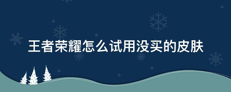 王者荣耀怎么试用没买的皮肤 王者怎么试用没买的皮肤?