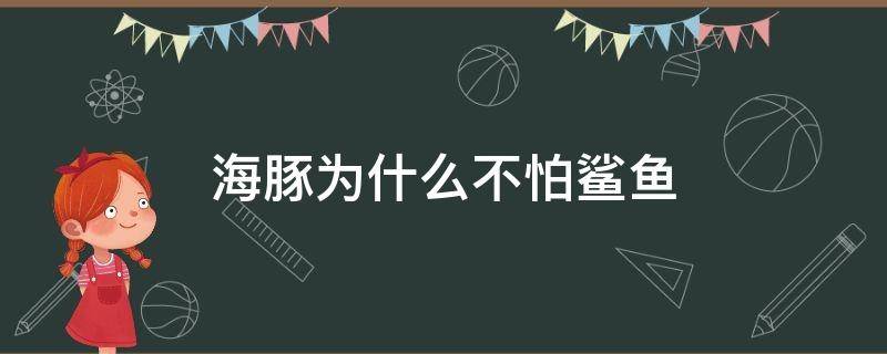 海豚为什么不怕鲨鱼（海豚为什么不怕鲨鱼?）