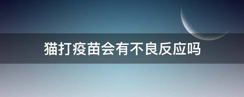 猫打疫苗会有不良反应吗 猫打疫苗不良反应有哪些