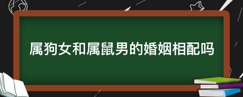 属狗女和属鼠男的婚姻相配吗 属狗男和属鼠女的婚姻是都配