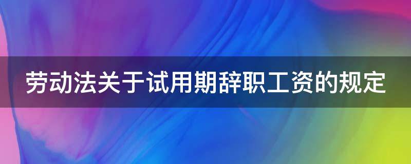 劳动法关于试用期辞职工资的规定（劳动法关于试用期辞职工资的规定最新）