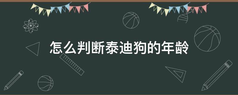 怎么判断泰迪狗的年龄 泰迪犬怎么看年龄,判断泰迪年龄的方法