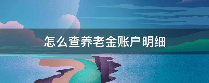 怎么查养老金账户明细 哪里可以查养老金明细