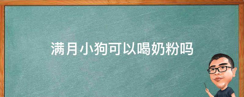 满月小狗可以喝奶粉吗（满月小狗能喝婴儿奶粉吗）