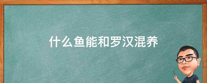 什么鱼能和罗汉混养（什么鱼可以和罗汉混养）