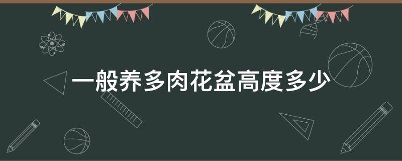 一般养多肉花盆高度多少（多肉需要多高的盆）