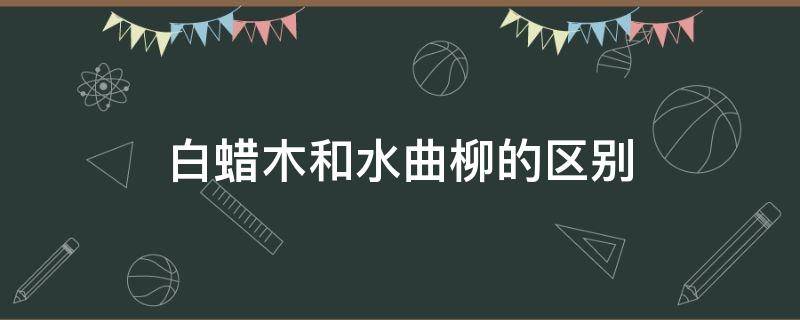 白蜡木和水曲柳的区别 白蜡木和水曲柳的区别故事