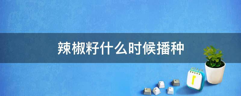 辣椒籽什么时候播种 隔年辣椒籽可以播种吗