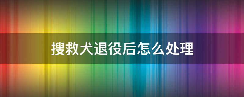 搜救犬退役后怎么处理 搜救犬退役生活