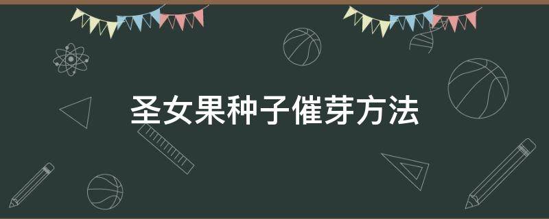 圣女果种子催芽方法（圣女果种子怎么播种）