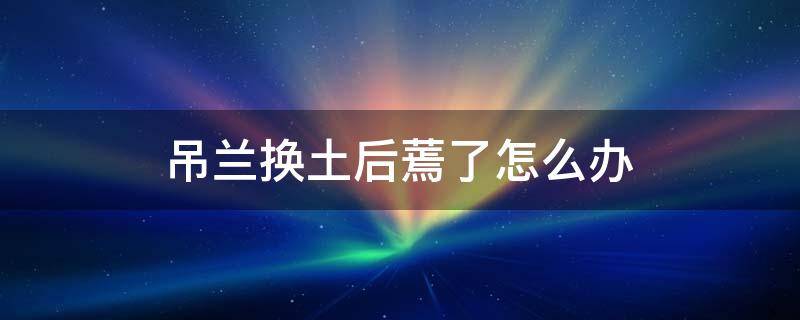 吊兰换土后蔫了怎么办 吊兰换完土后蔫了