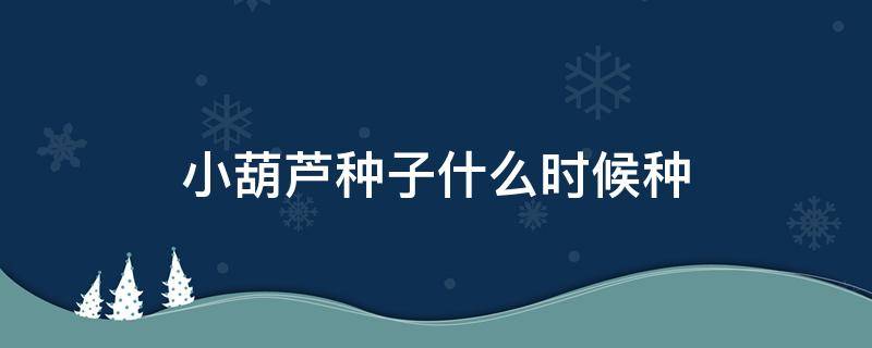 小葫芦种子什么时候种（葫芦种子几月份种）