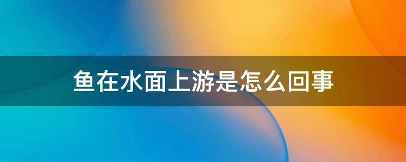 鱼在水面上游是怎么回事（鱼缸里的鱼在水面上游是怎么回事）