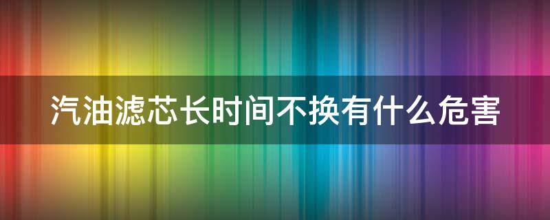 汽油滤芯长时间不换有什么危害 汽油滤芯长时间不换会费油么