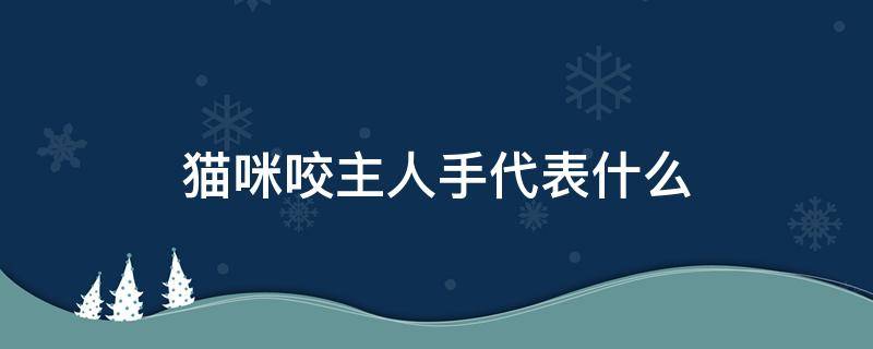 猫咪咬主人手代表什么 猫咪咬主人手是怎么回事