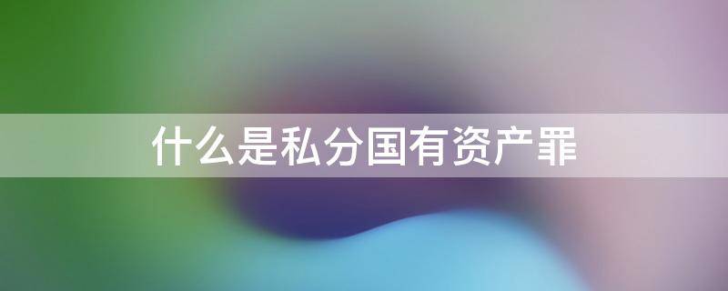 什么是私分国有资产罪 私分国有资产罪属于什么类型