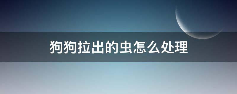 狗狗拉出的虫怎么处理 狗狗拉屎有虫怎么处理