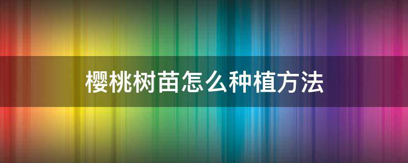 樱桃树苗怎么种植方法 樱桃树苗怎么种植方法视频