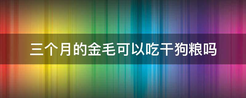 三个月的金毛可以吃干狗粮吗 两个月金毛能干吃狗粮吗