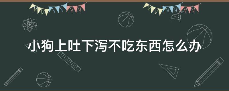 小狗上吐下泻不吃东西怎么办（狗狗上吐下泻不吃东西怎么办）