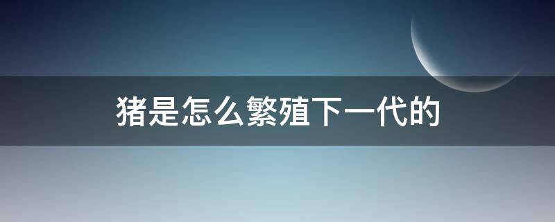 猪是怎么繁殖下一代的（种猪如何繁殖）