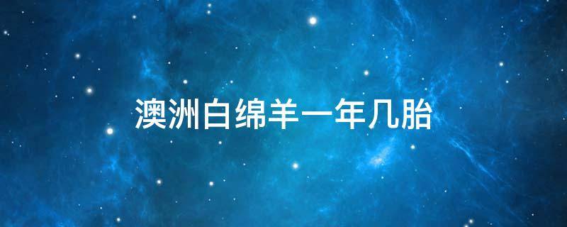 澳洲白绵羊一年几胎（澳洲白绵羊多少钱一只?澳洲白绵羊一胎有几个?）