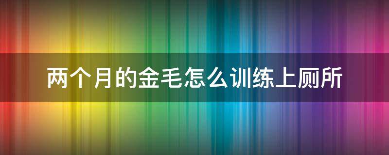 两个月的金毛怎么训练上厕所 三个月金毛怎么训练去厕所?