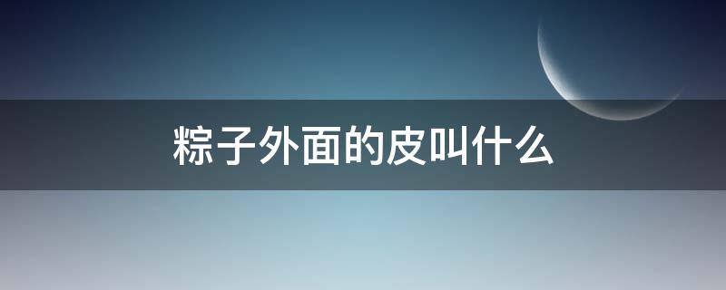 粽子外面的皮叫什么（粽子皮叫啥）