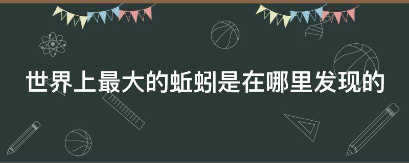 世界上最大的蚯蚓是在哪里发现的 世界上最大的蚯蚓是在哪儿发现