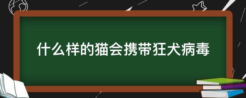 什么样的猫会携带狂犬病毒（哪种猫会携带狂犬病毒）