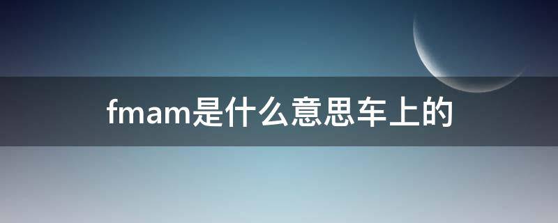 fmam是什么意思车上的（FM是什么车）