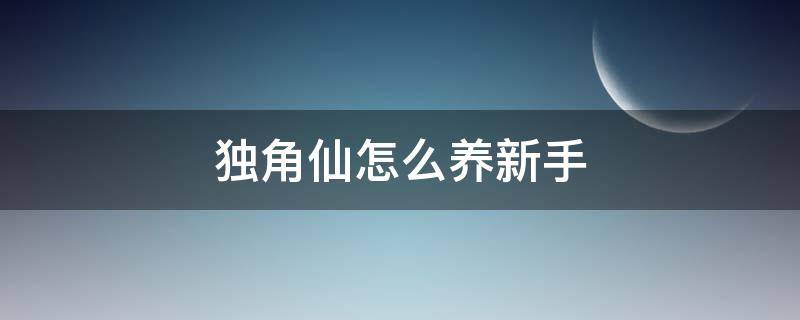 独角仙怎么养新手 独角大仙怎么养