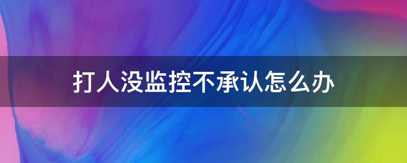 打人没监控不承认怎么办（打人没监控不承认怎么办但是有目击证人）