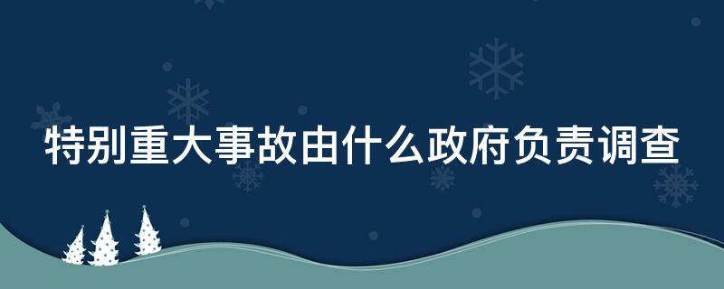 特别重大事故由什么政府负责调查（特别重大事故由什么政府负责调查的）